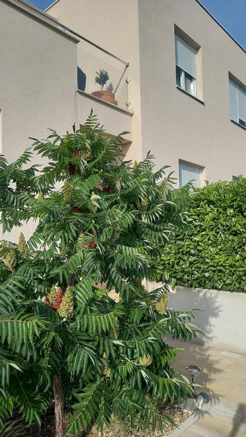 Apartment Dandelion Brela Ngoại thất bức ảnh