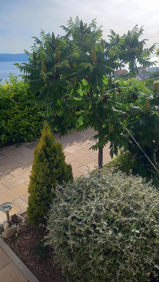 Apartment Dandelion Brela Ngoại thất bức ảnh